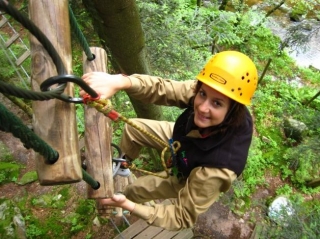  Venga a descubrir el mundo de los árboles 
